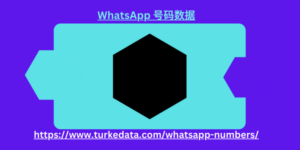 WhatsApp number data