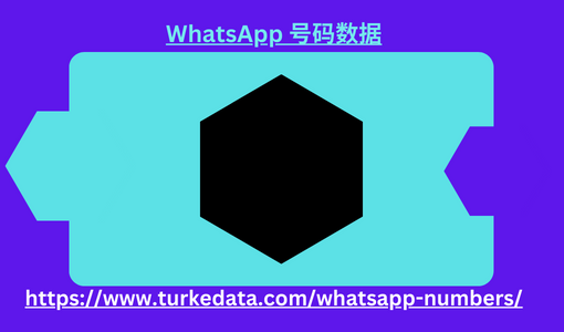 WhatsApp number data